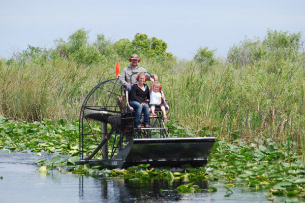 Everglades Airboat Tours | See Wildlife in their Natural Habitat